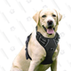 Rabbitgoo Dog Harness, Large | $11 | Clip 10% and use promo code 35YSRU3Z